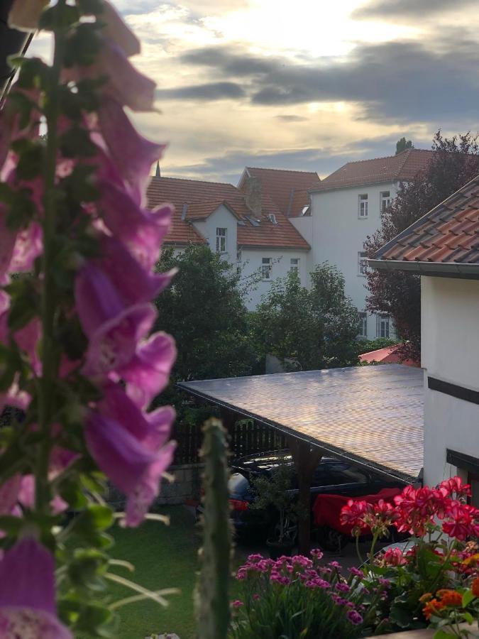 Апартаменты Am Mathildenbrunnen Klein Кведлинбург Экстерьер фото